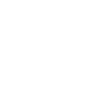 Logo 21
